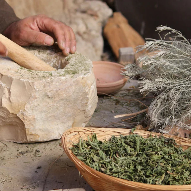 A person prepping dried herbs in a vintage Mortar and Pestle.